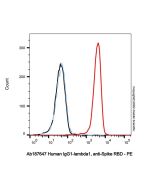 Human IgG1-lambda1, anti-Spike RBD