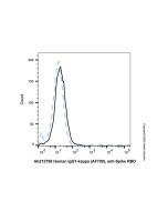 Human IgG1-kappa (AF700), anti-Spike RBD