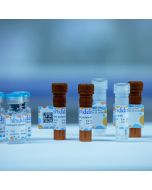 Mouse Anti-Human IgA H&L Antibody
