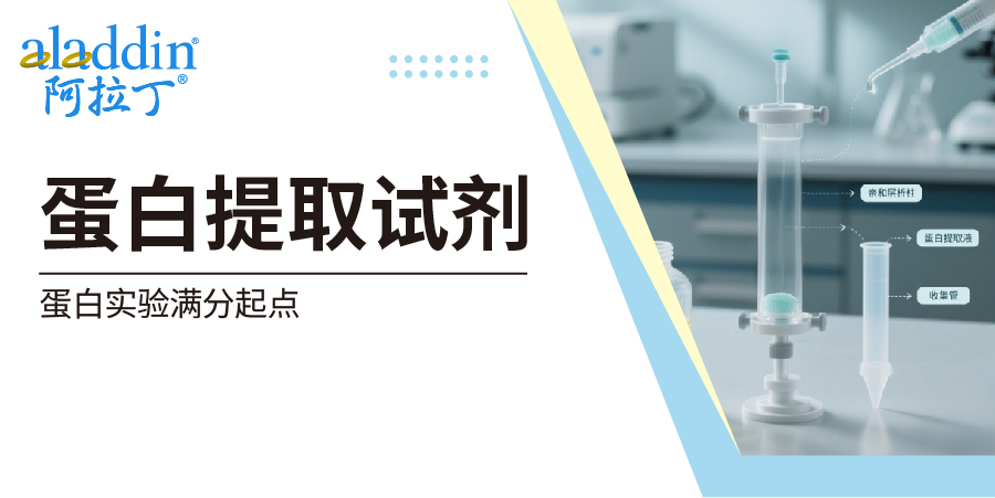 【阿拉丁】蛋白提取试剂：蛋白实验满分起点
