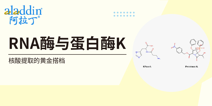 【阿拉丁】科普 | 核酸提取
