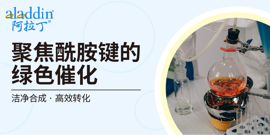 【阿拉丁】实验指南 | 酰胺键的催化合成：绿色方法与试剂选择