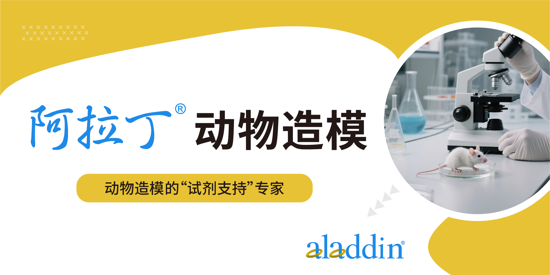 阿拉丁：动物造模的“试剂支持”专家