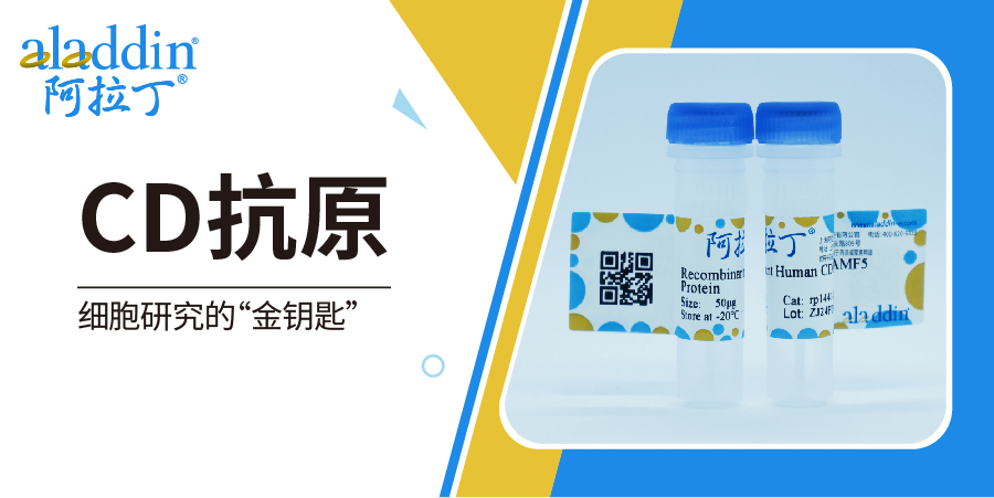 CD抗原 | 阿拉丁与您共同破解肿瘤微环境密码