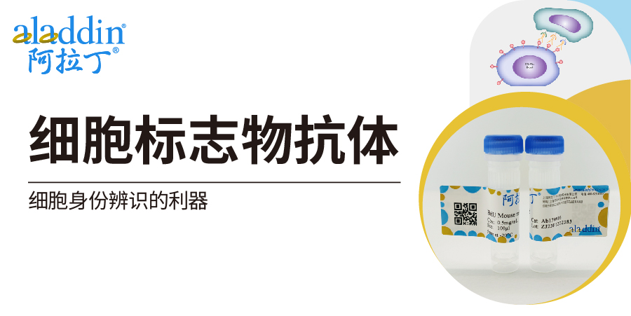 细胞标志物抗体| 阿拉丁助您揭开细胞身份的密码