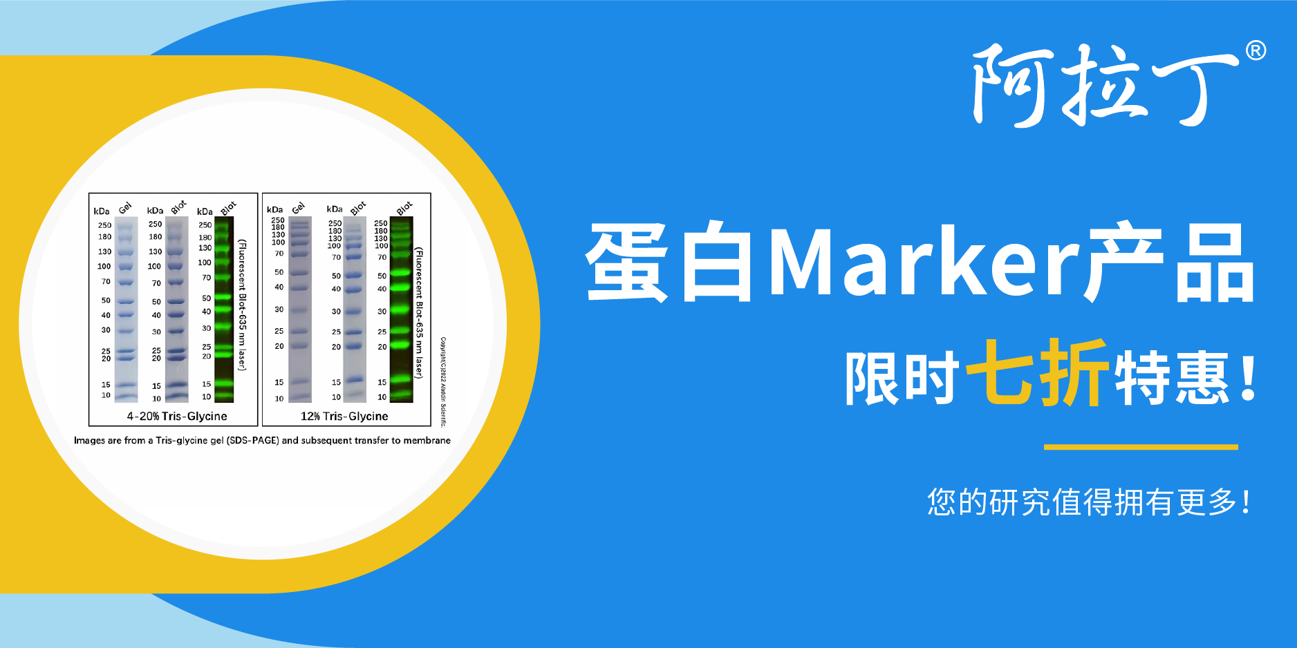 【阿拉丁】蛋白Marker：7折狂欢，限时促销！
