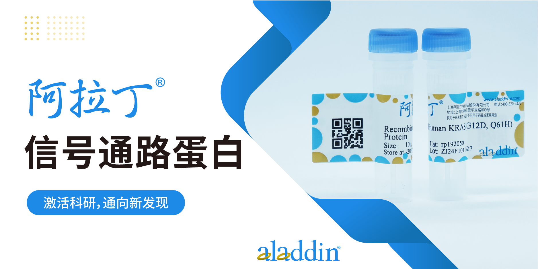 阿拉丁信号通路蛋白 | 科研探索的“多功能工具”