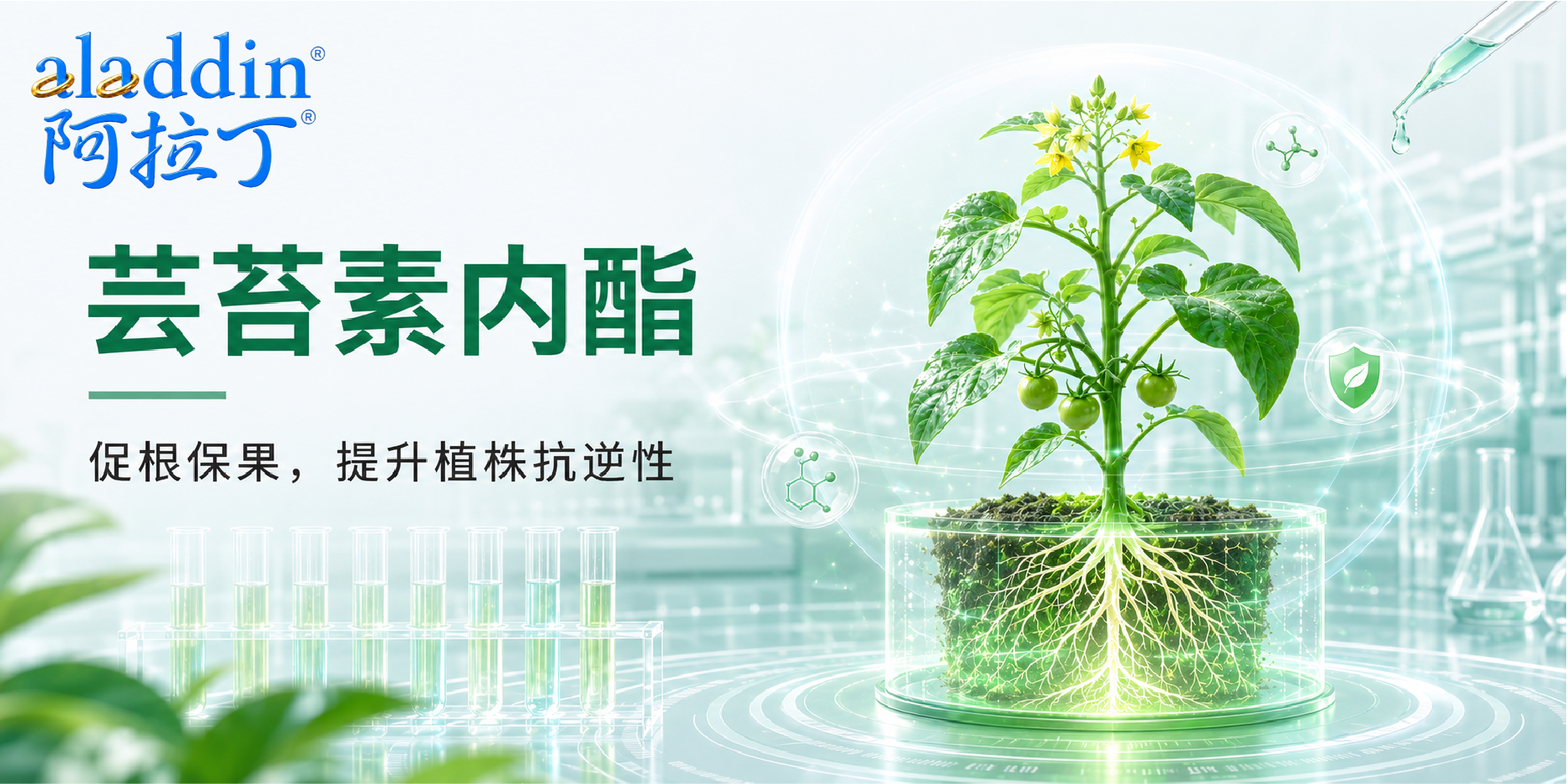 【阿拉丁】作物生理调节剂:芸苔素内酯的研究与应用