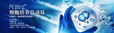 阿拉丁细胞培养总动员，一起快乐实验吧